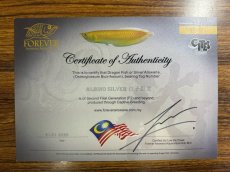 画像2: アルビノシルバー（証明書付）13〜14ｃｍ前後 (2)