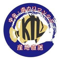 画像4: エキストリームタイガー 13cm (4)